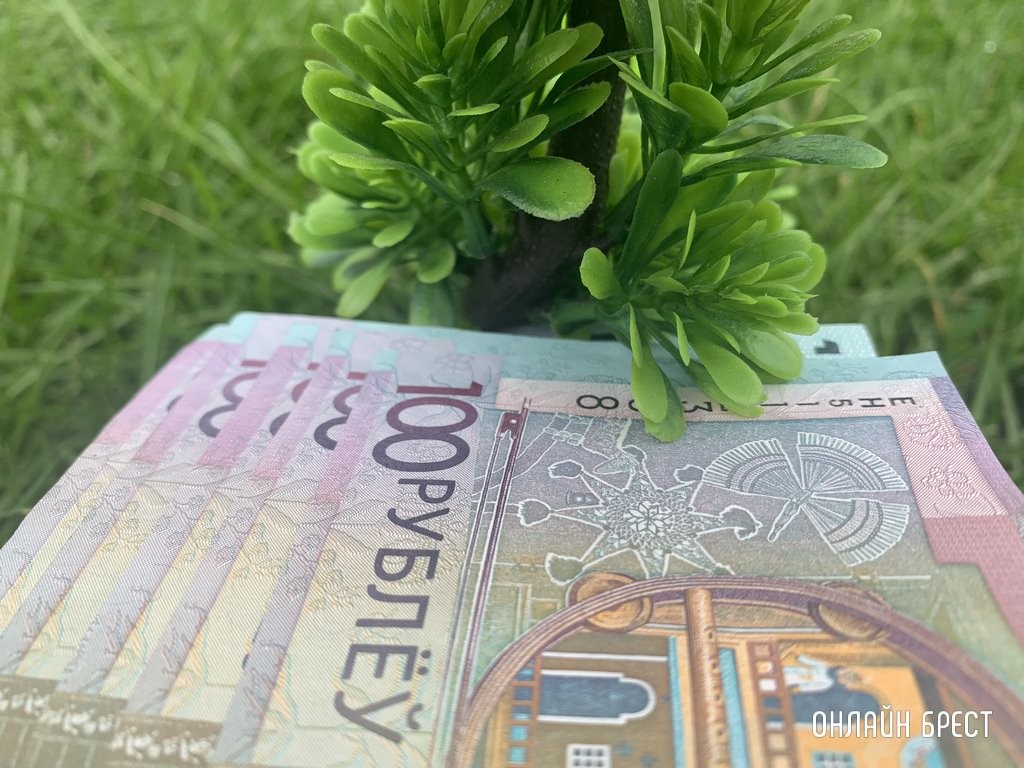 До 24 000 рублей — кто в Беларуси может получить такую выплату?