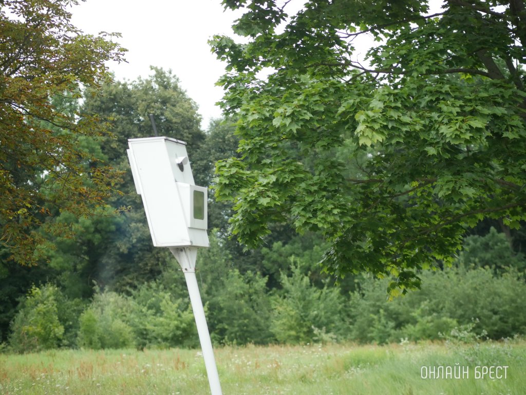 В прошлом году почти 2000 водителей без прав были выявлены с помощью камер. Это как?