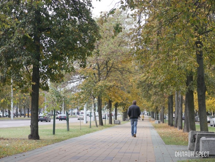 Эти люди ходят на работу пешком по 6 километров. Узнали, для чего им это