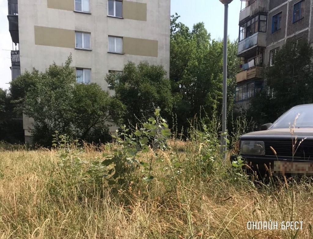 «Отдаю BMW за два стареньких авто!» Вот чем оборачиваются такие предложения