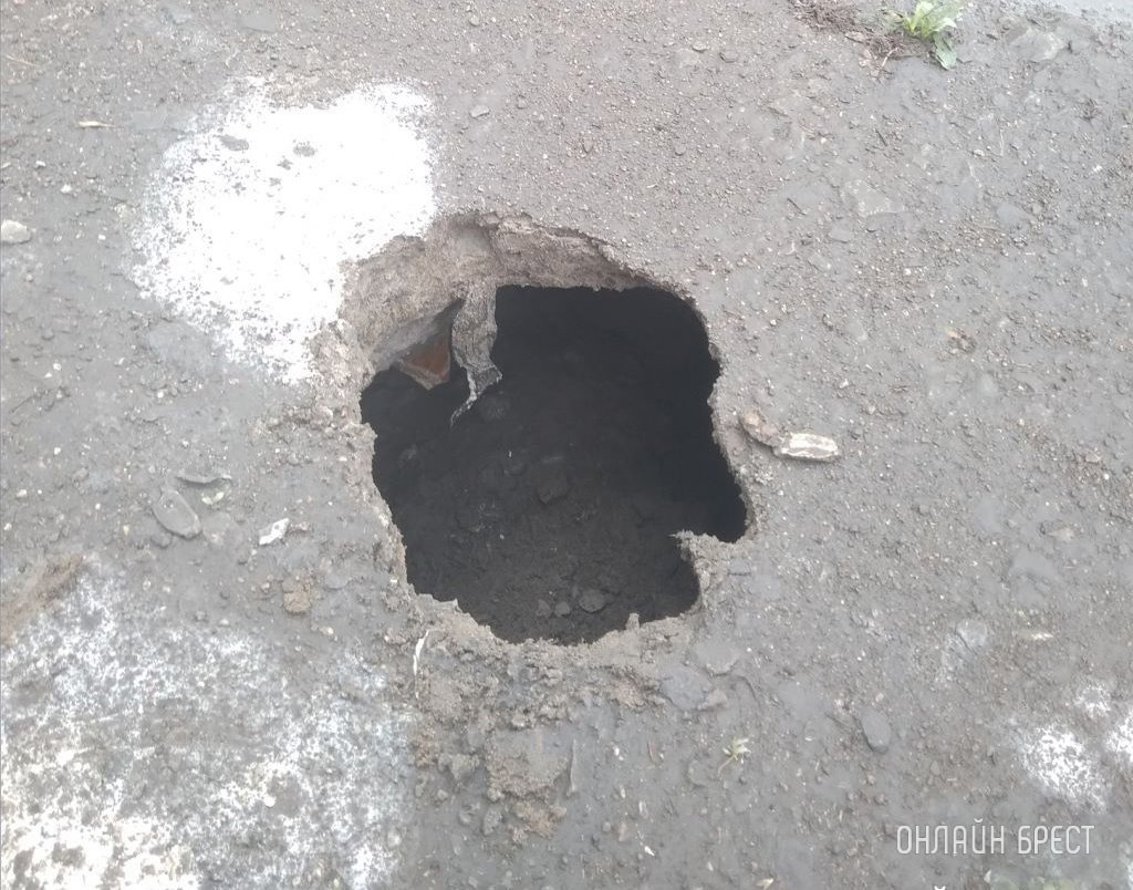 Фото носит иллюстративный характер