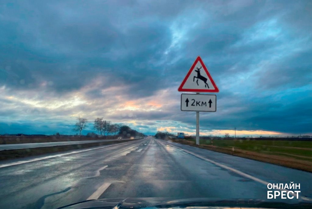 Изображение вымышленное