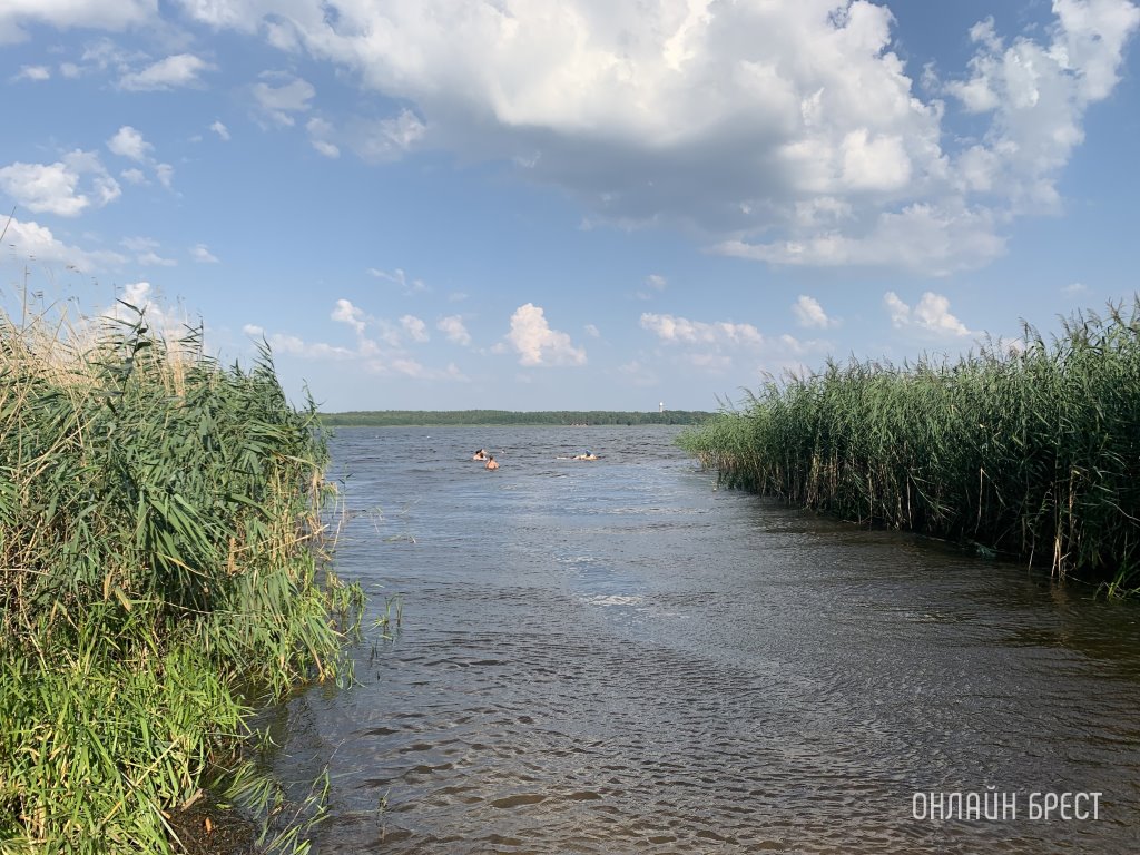 Опасный пляж. Какие инфекции можно подхватить через воду