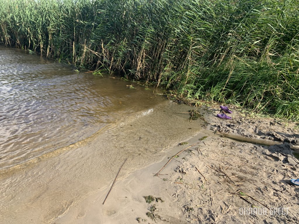 Фото носит иллюстративный характер