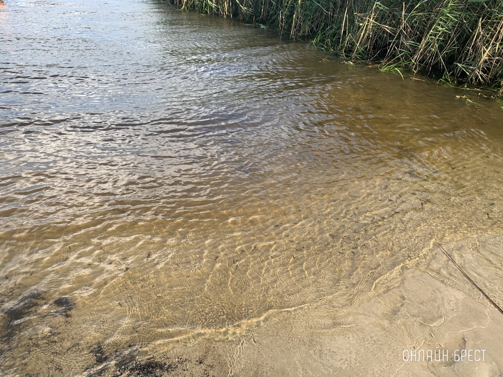 Двое мужчин опрокинулись на гидроцикле в Пинском районе — один утонул