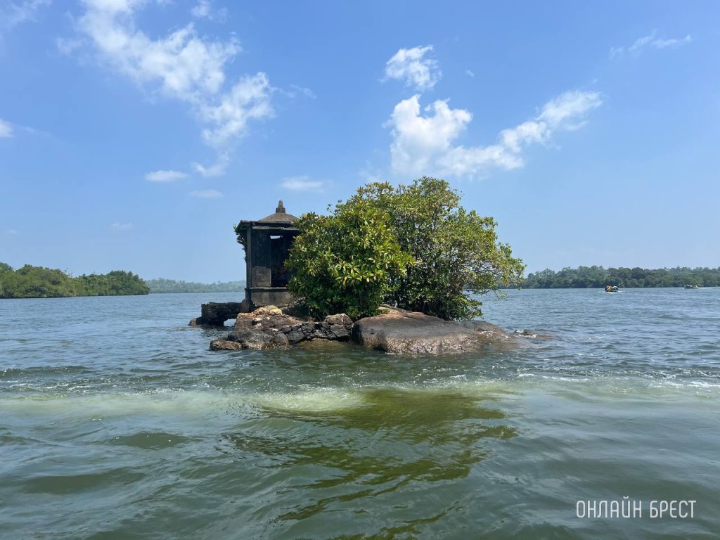 Belavia снова начала летать из Витебска – и вот куда
