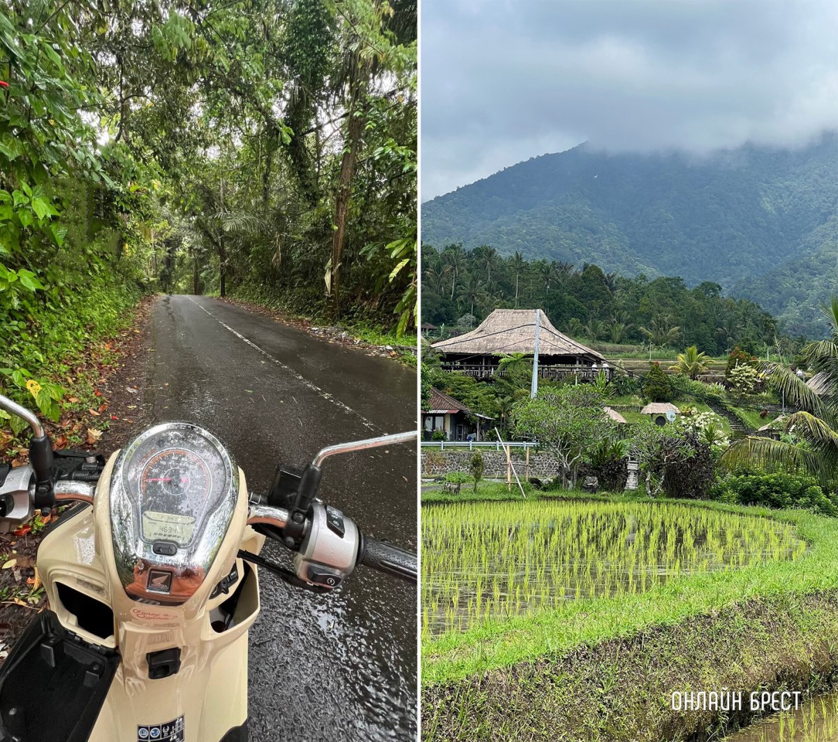 Искусственный интеллект определил идеальные места для отдыха в 2024 году