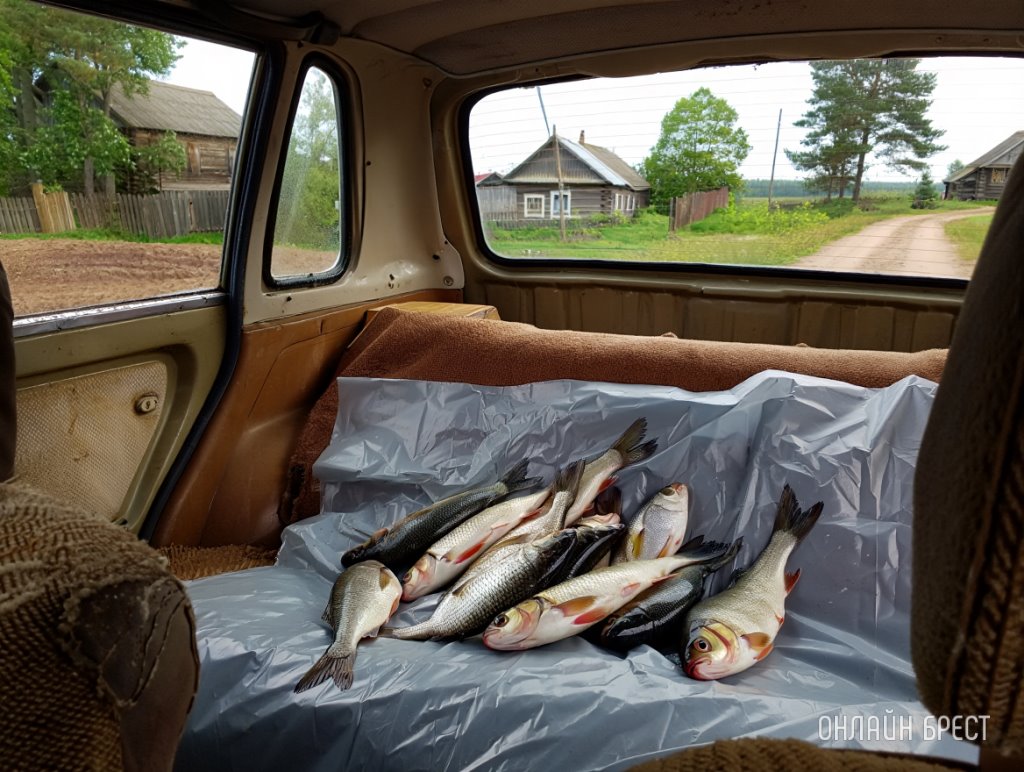Двум жителям Брестской области рыбалка обошлась почти в 10 000 рублей
