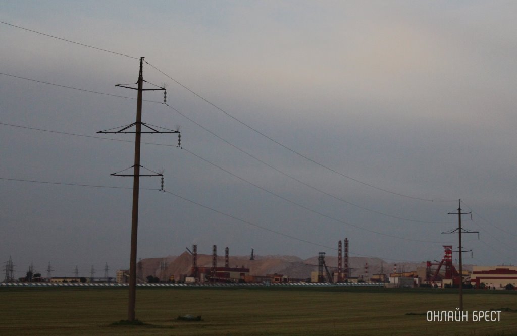 Фото носит иллюстративный характер