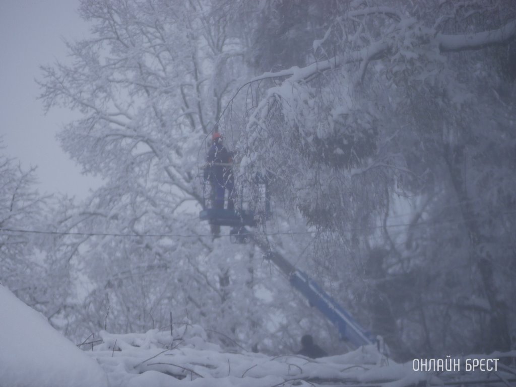 Фото носит иллюстративный характер