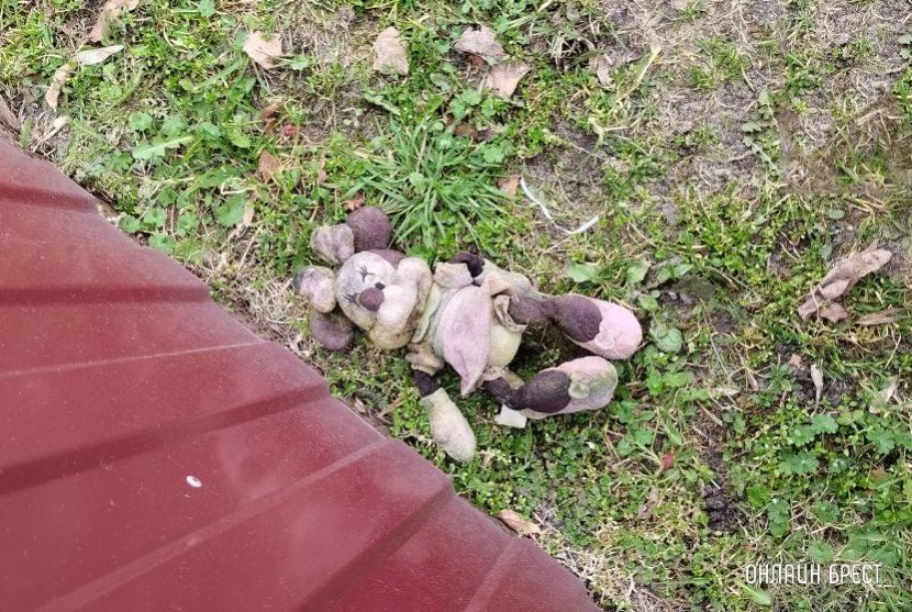 Белоруска снимала порнографию с участием своих детей ради заработка в интернете