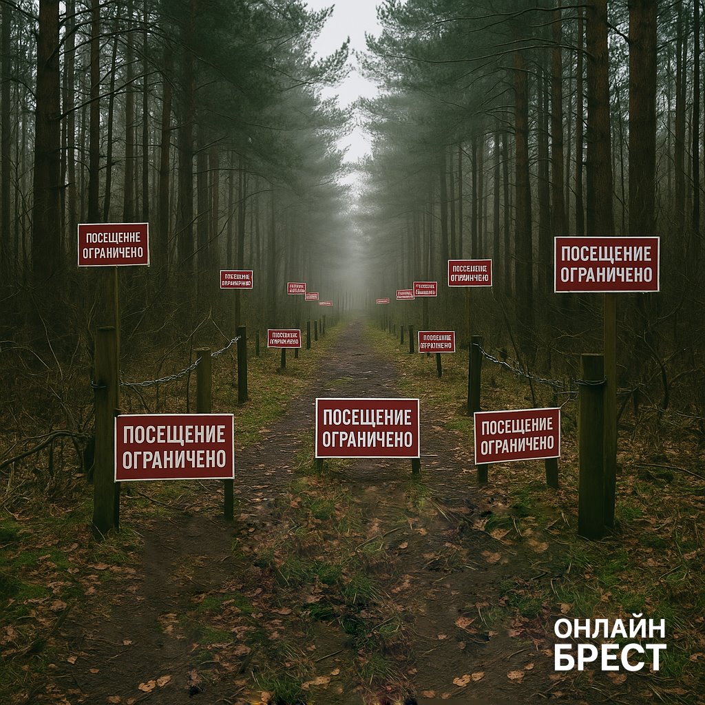 В каких районах Брестской области введены ограничения на посещение лесов? Смотрим карту