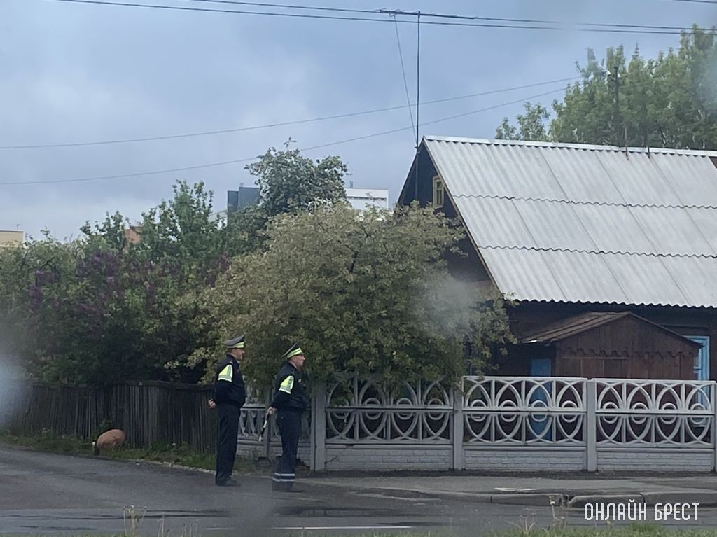 Сколько водителей за не включенный свет фар в Бресте и области привлекли к ответственности