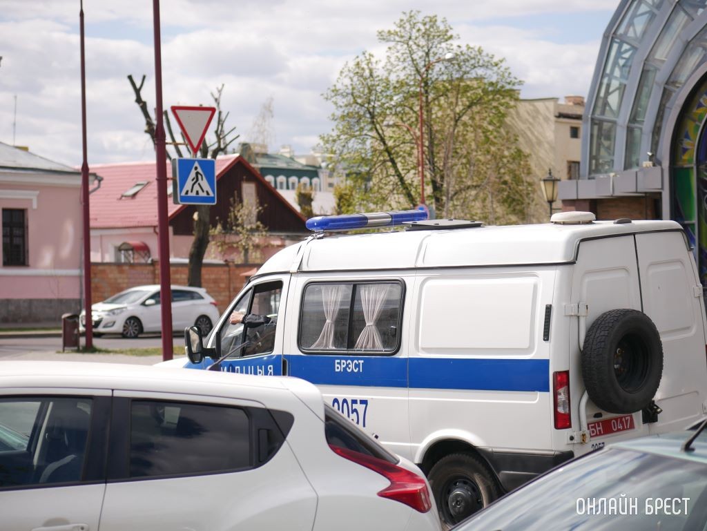 Фото носит иллюстративный характер