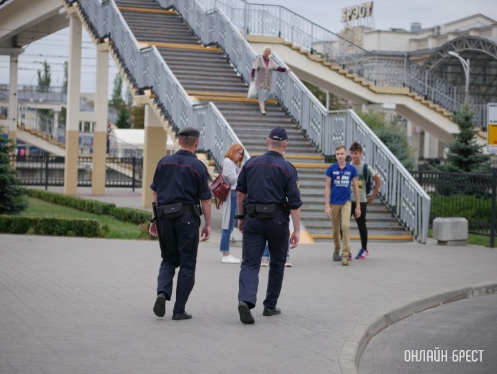 Каких преступлений в Беларуси совершается больше всего – инфографика