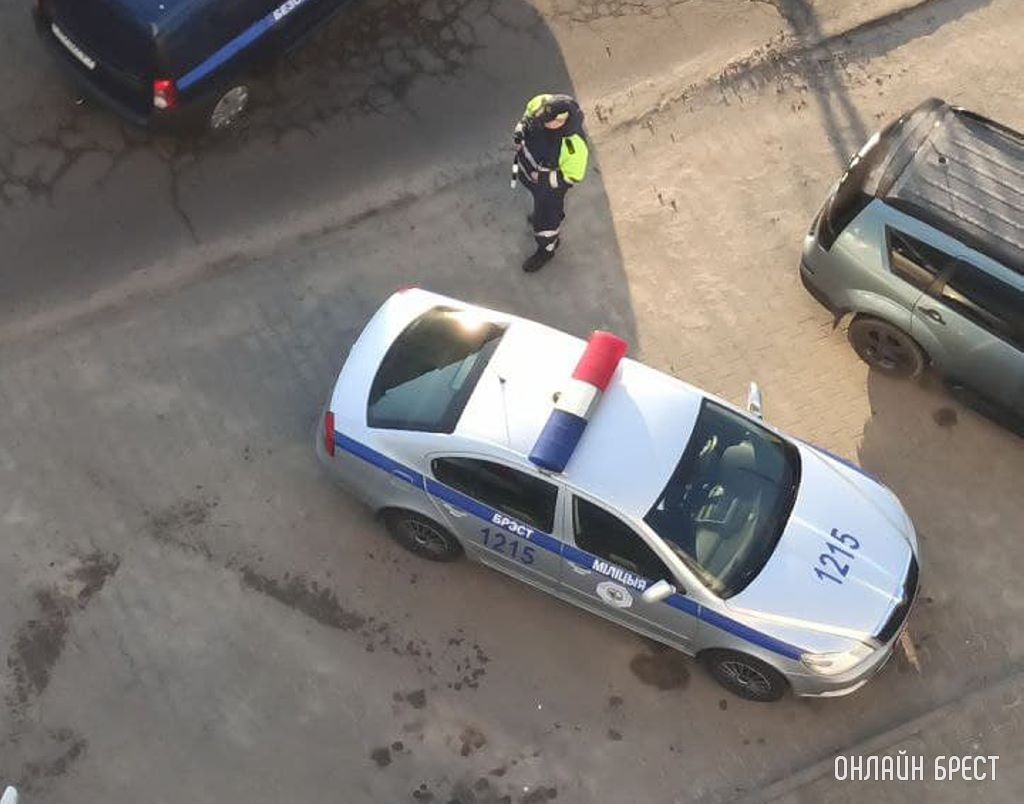 «Зелёная волна», новые светофоры и камеры: какие изменения готовит ГАИ Брестской области