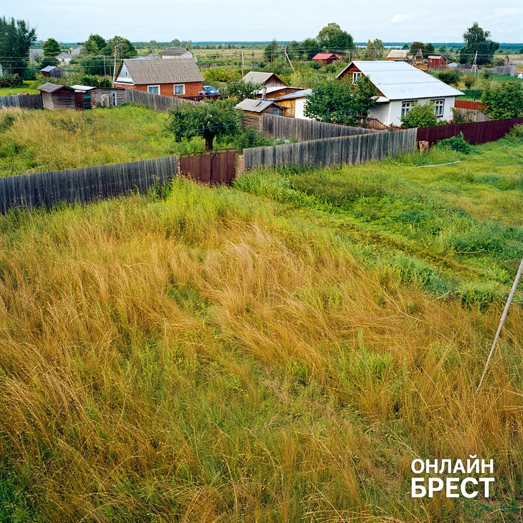 Трава должна быть не выше 20 см, стройматериалы во дворе – сложены. Что еще изменилось в правилах благоустройства?