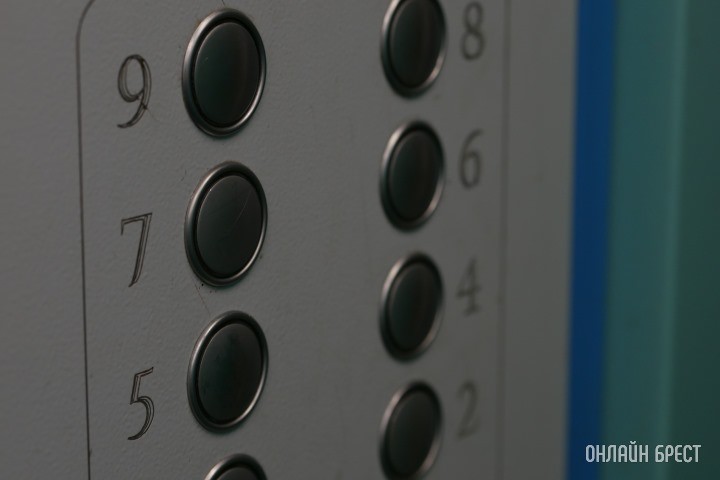 Фото носит иллюстративный характер