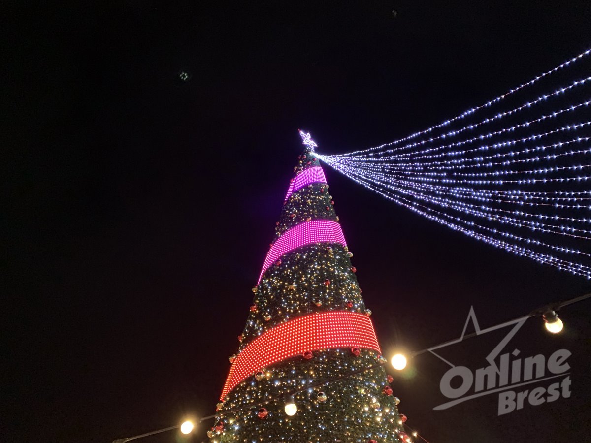 Главная новогодняя красавица Бреста зажглась — видео