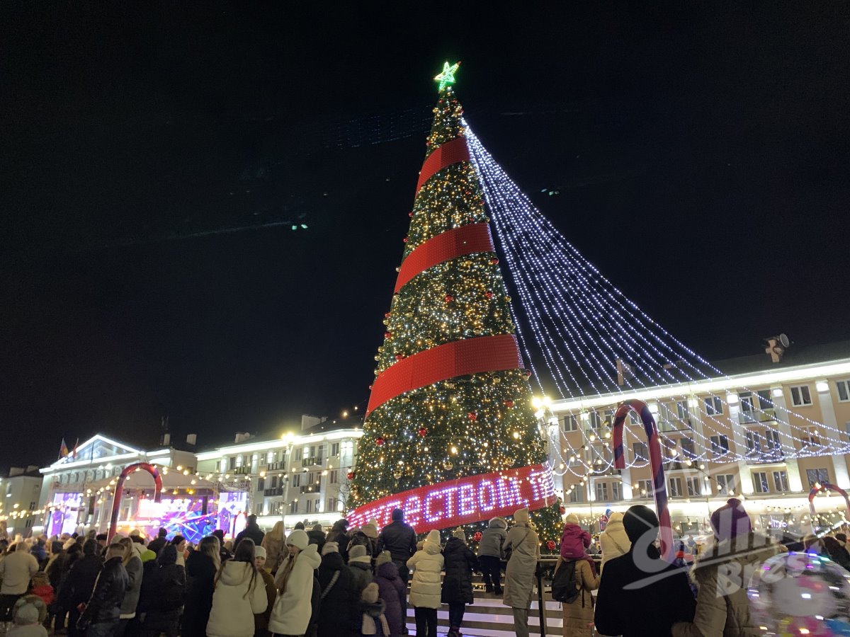 Главная новогодняя красавица Бреста зажглась — видео