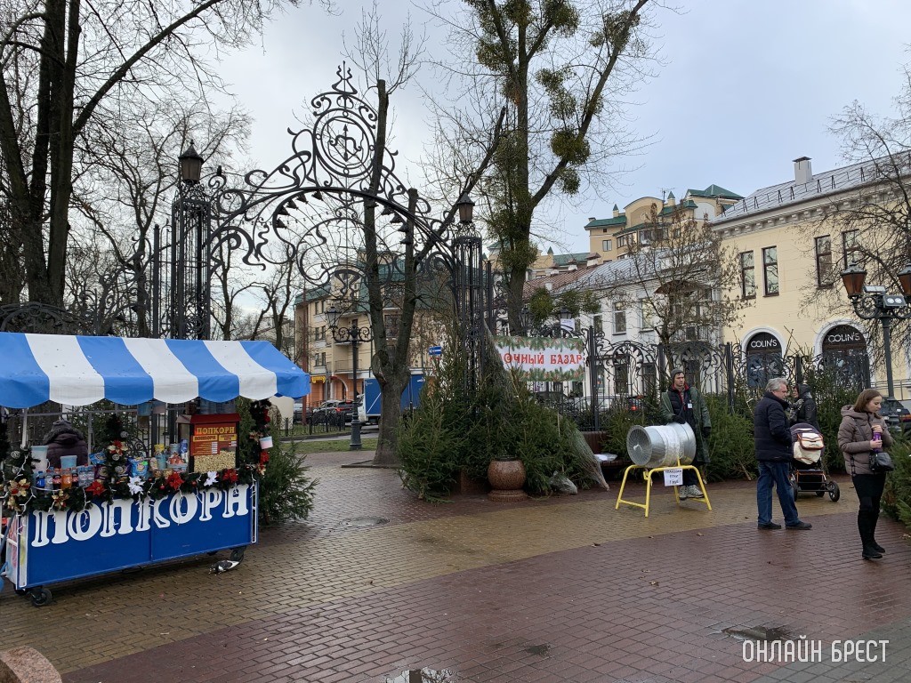 Где купить живую елку в Бресте? Места и время работы елочных базаров