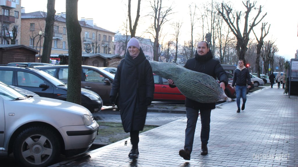 Елочные базары в Брестской области откроются с 17 декабря. Что по цене?