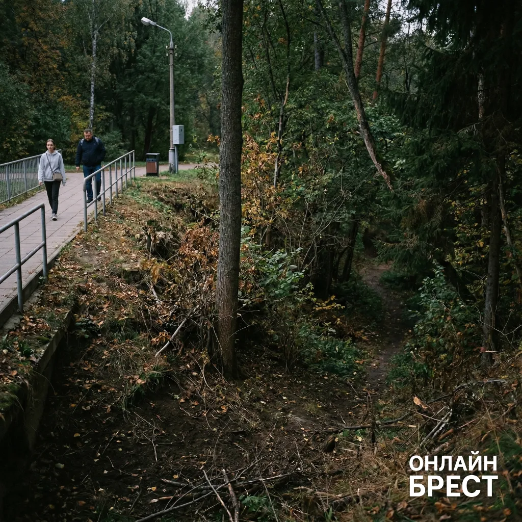 На улице напал и душил: 20-летнюю девушку спасла семейная пара