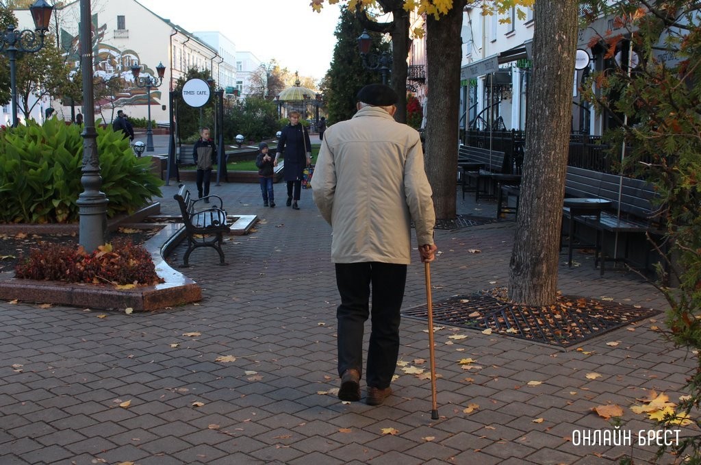 Фото носит иллюст