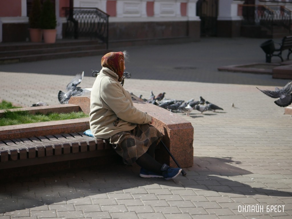 Фото носит иллюстративный характер