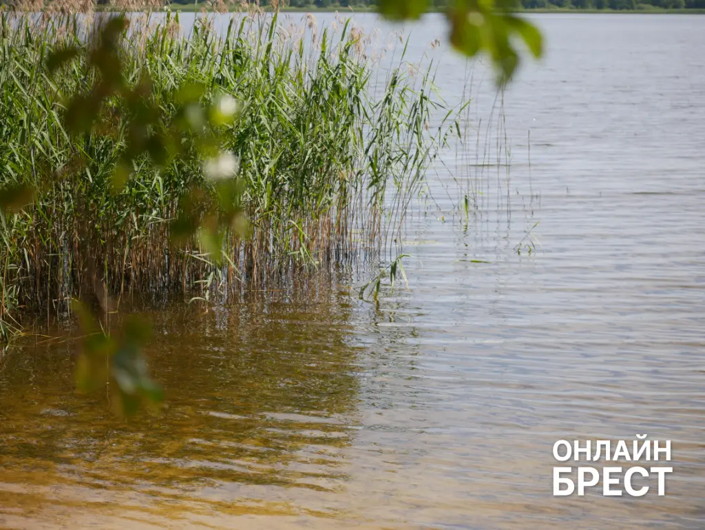 На озере Каташи мать бросилась спасать дочь и начала тонуть