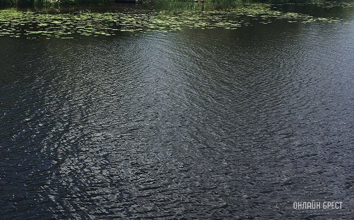 В Бресте мужчина прыгнул с моста в Мухавец — спасти его не удалось