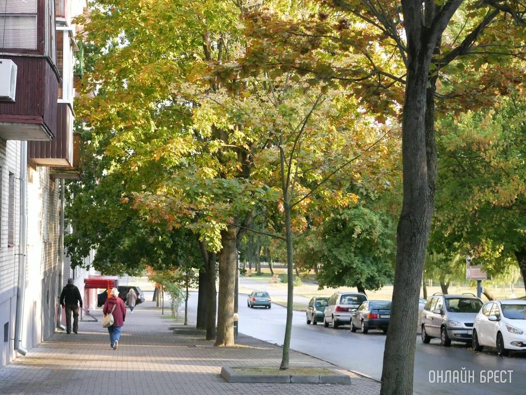 Фото носит иллюстративный характер