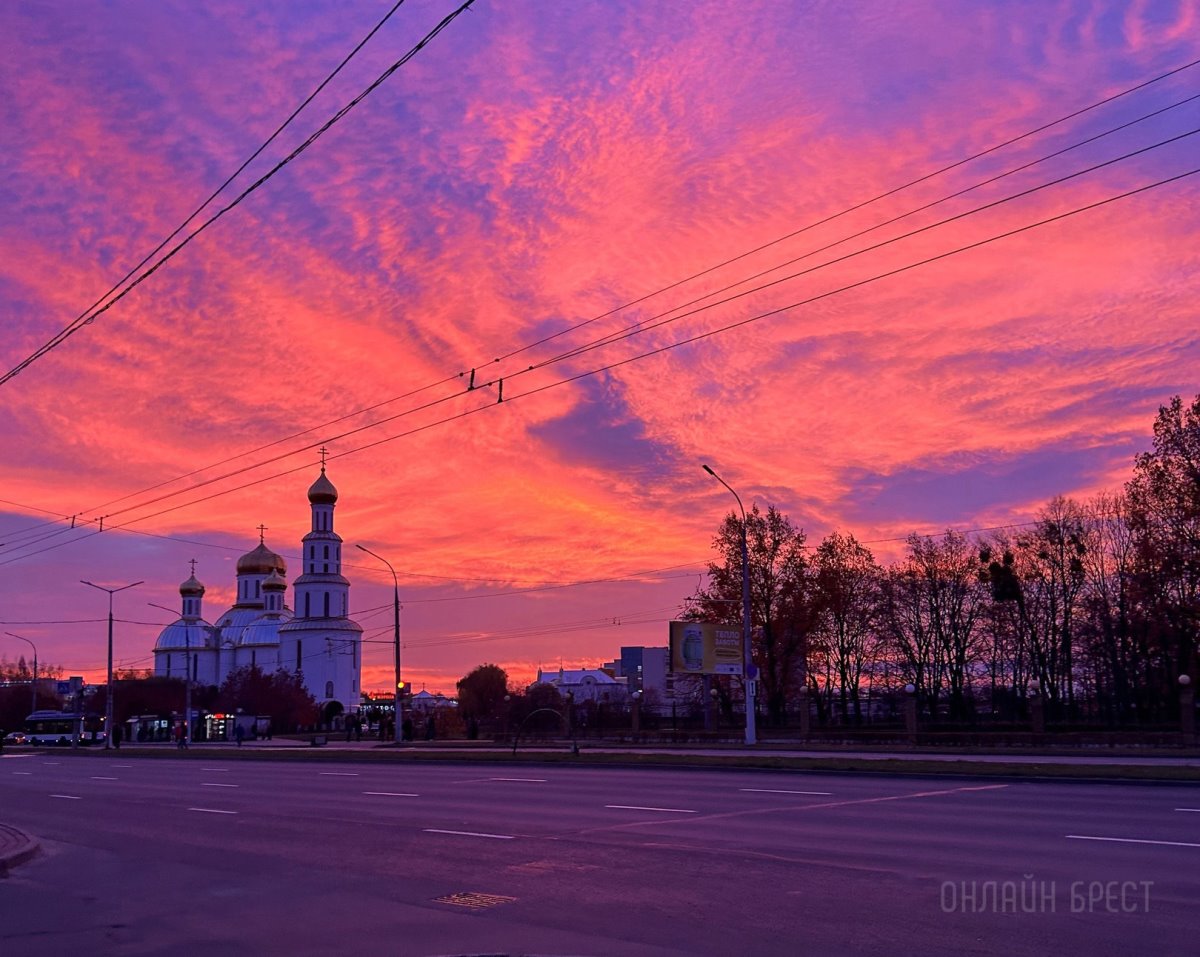 Март 2026 стал самым теплым и сухим в истории Беларуси