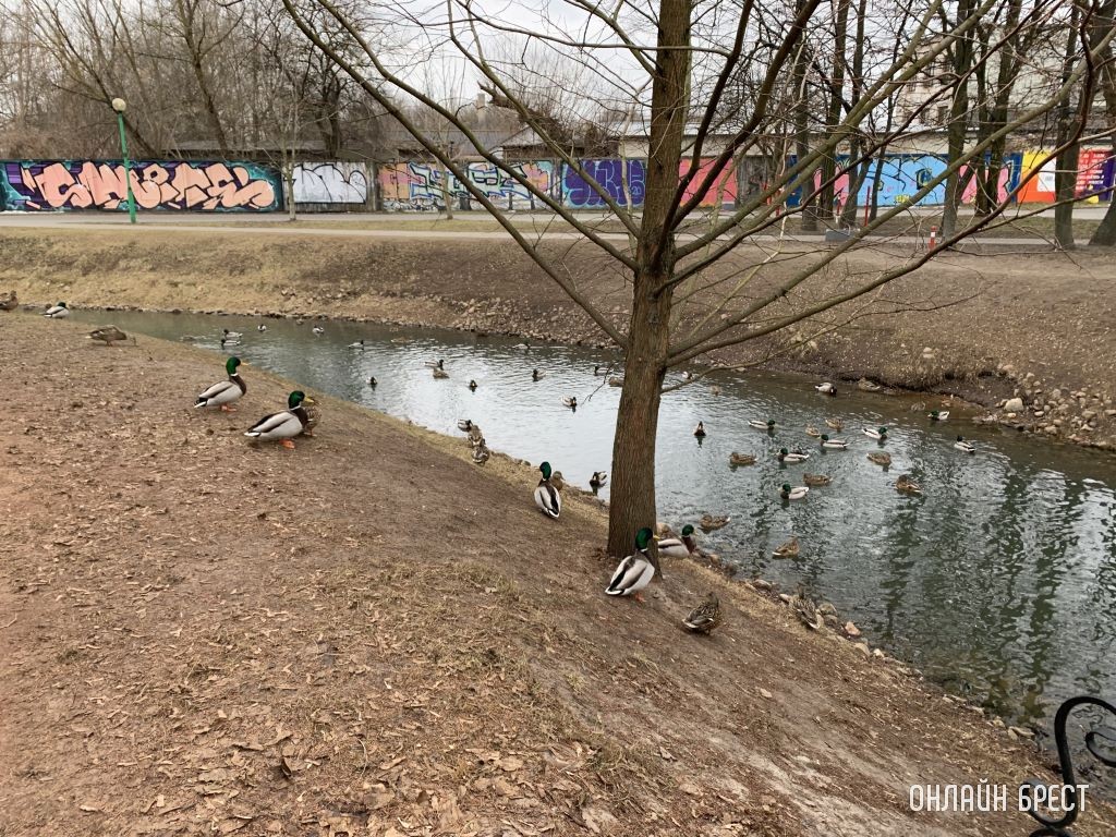 Фото носит иллюстративный характер