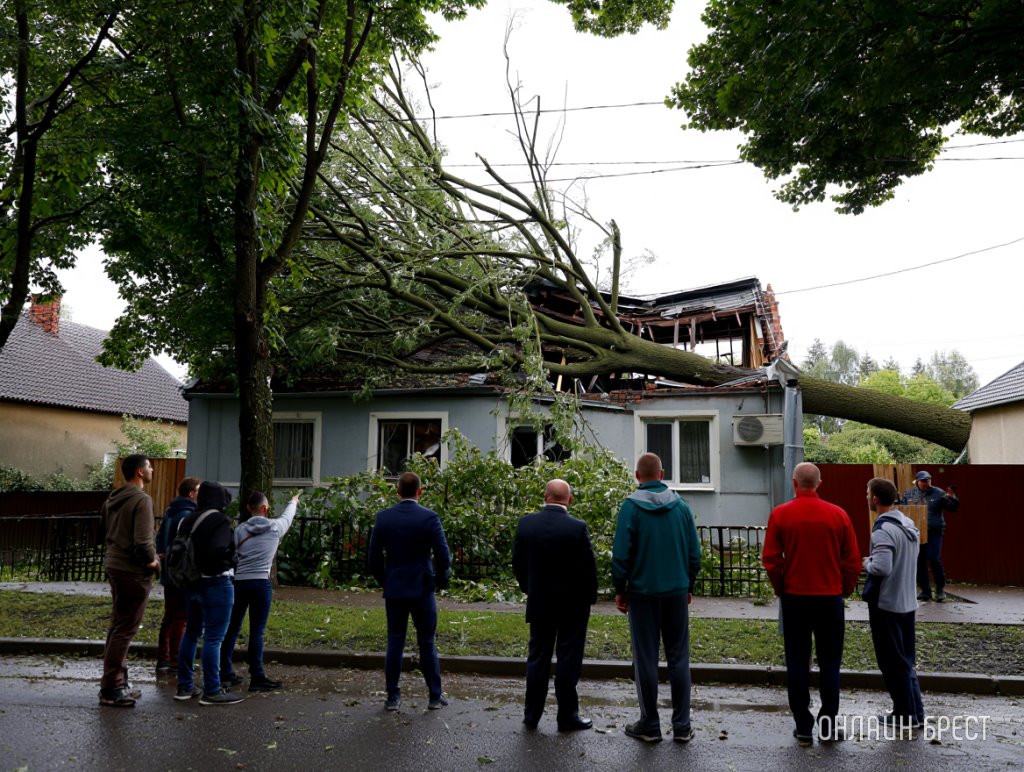 Самые крупные страховые случаи в Беларуси: топ выплат 2024 года