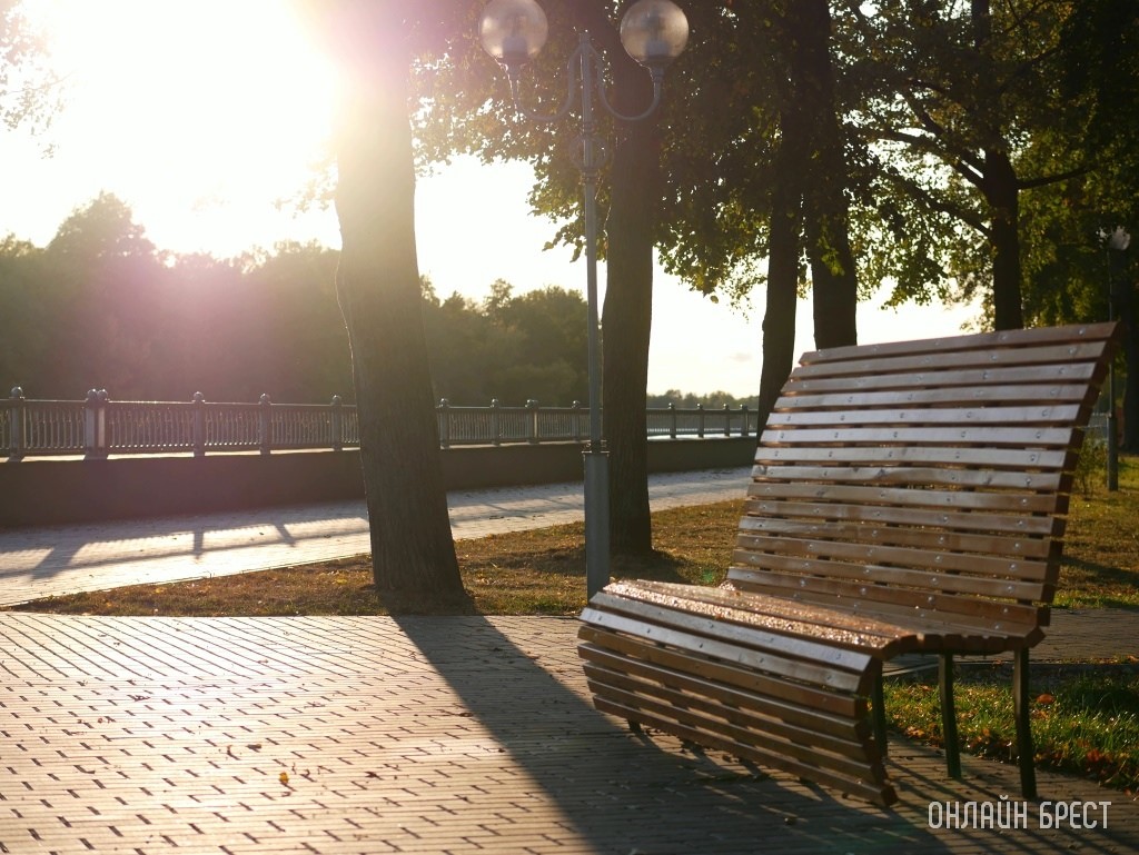 Фото носит иллюстративный характер