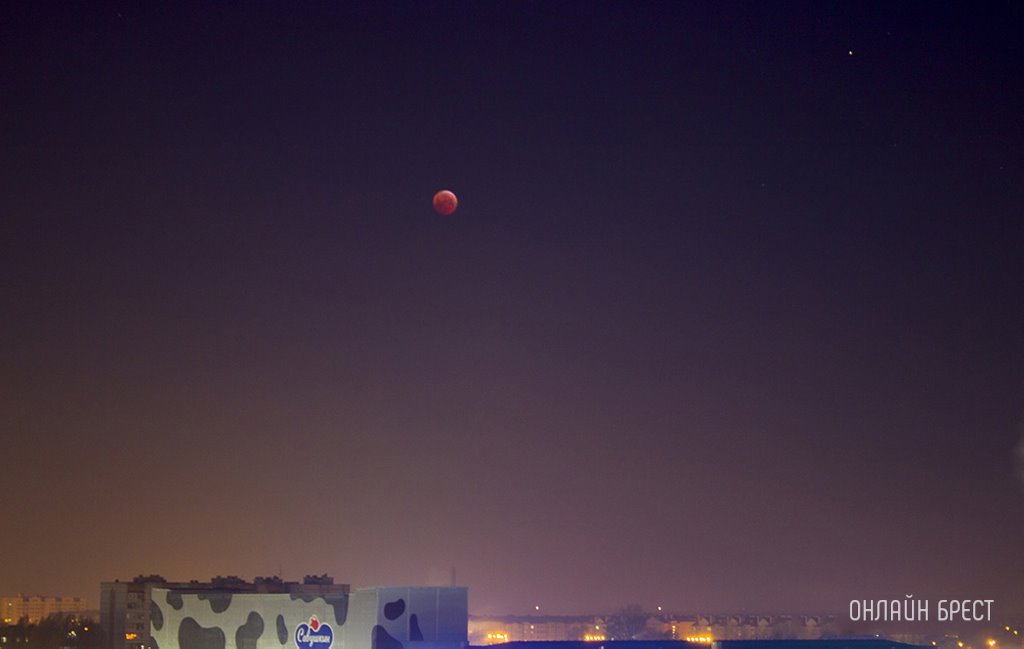 Фото носит иллюстративный характер