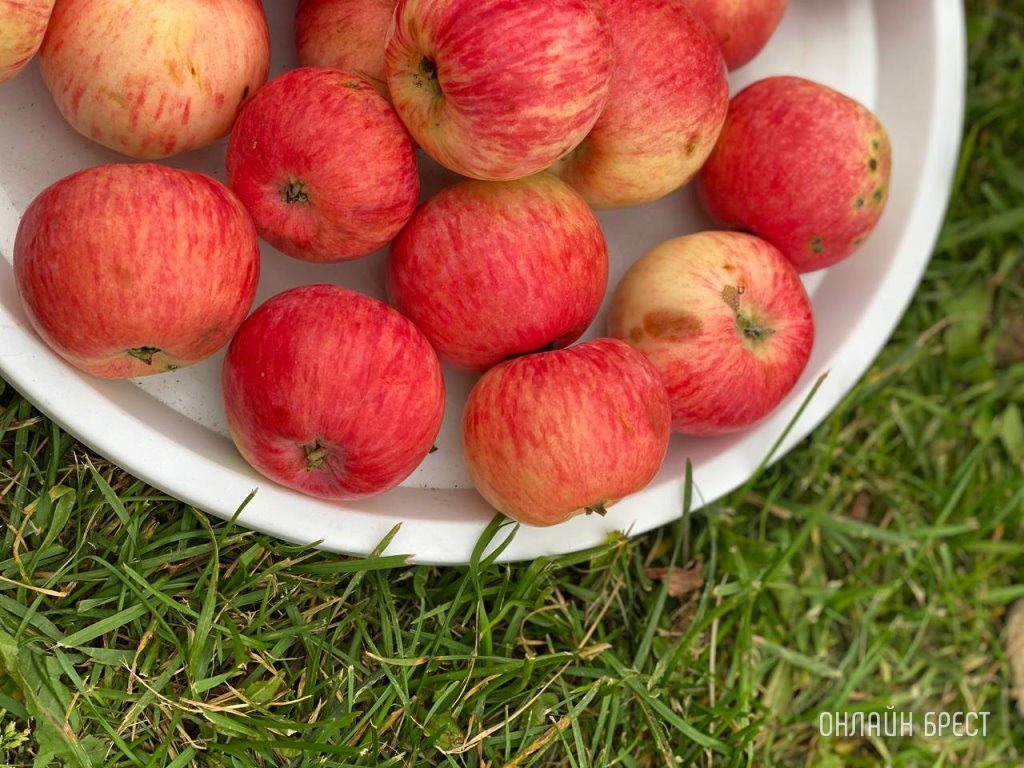 Какие витамины и полезные вещества содержатся в яблоках