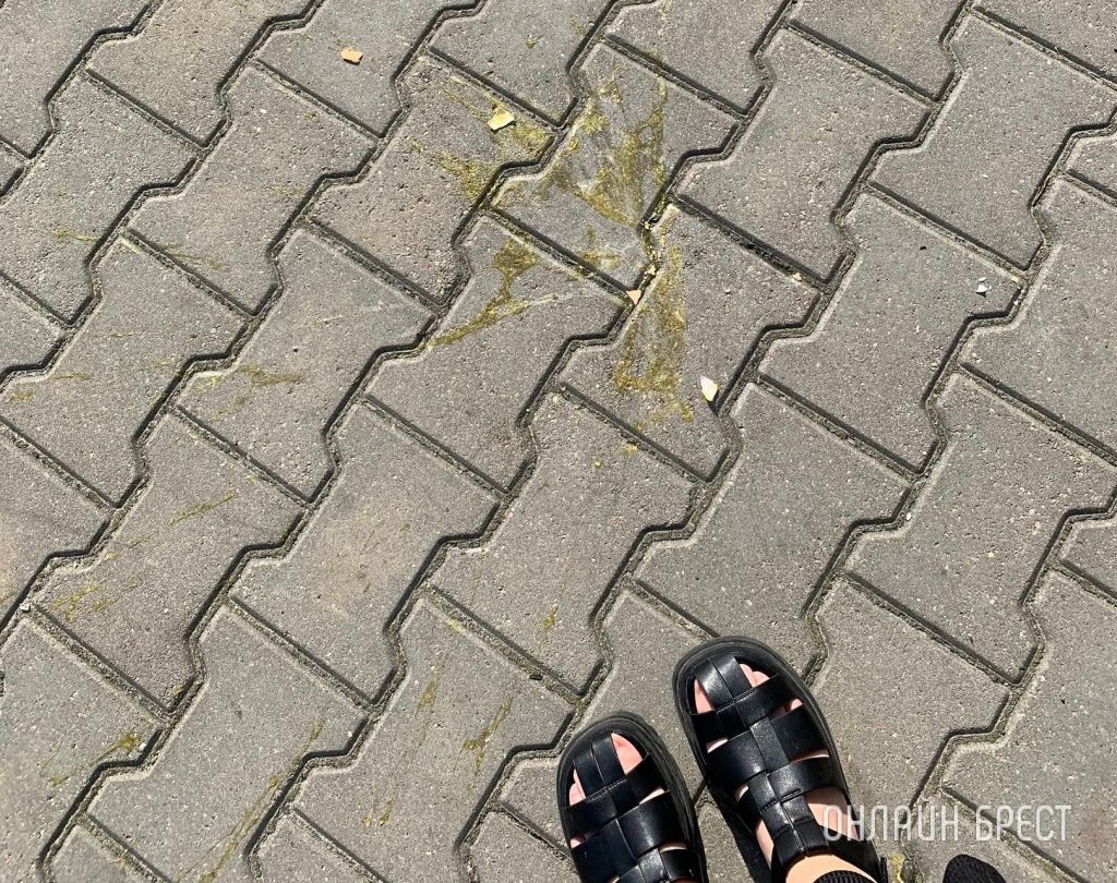 Какое наказание грозит тому, кто выбрасывает в окна все что ни попадя