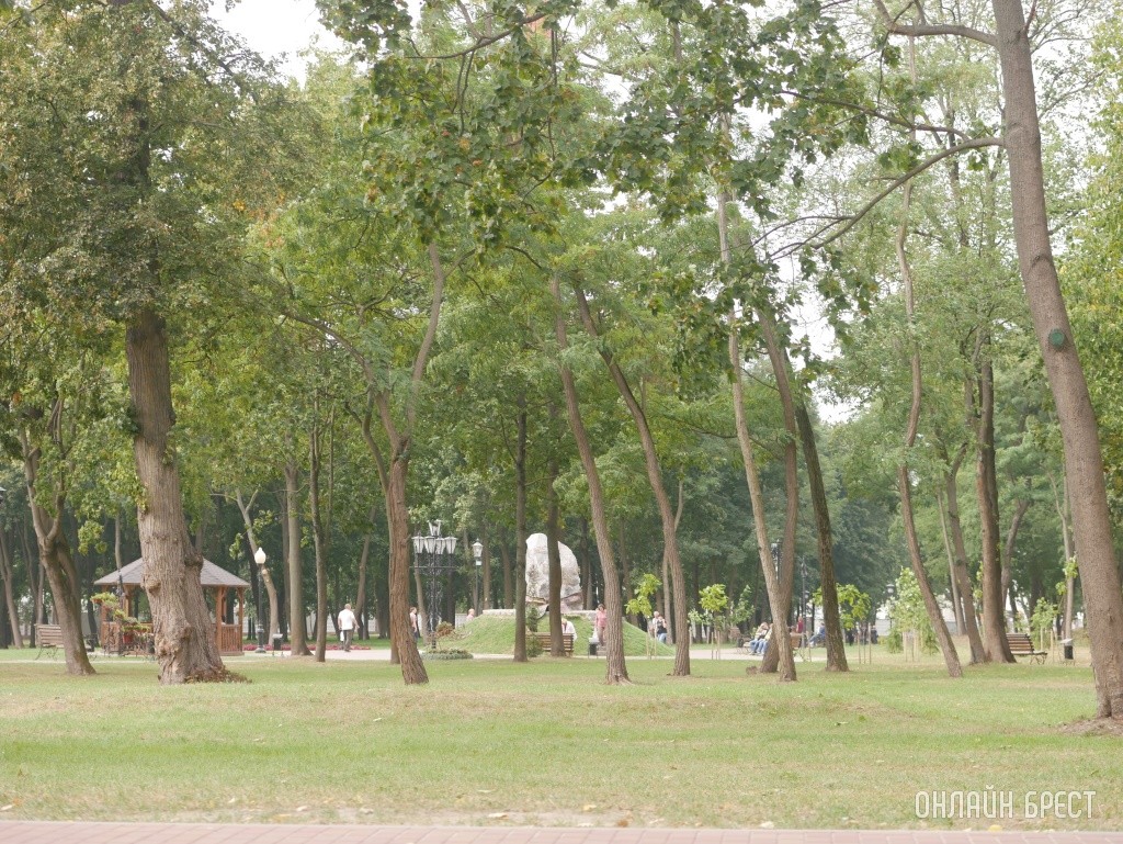 Узнали, какой город в Беларуси самый зелёный. Кто на первом месте?