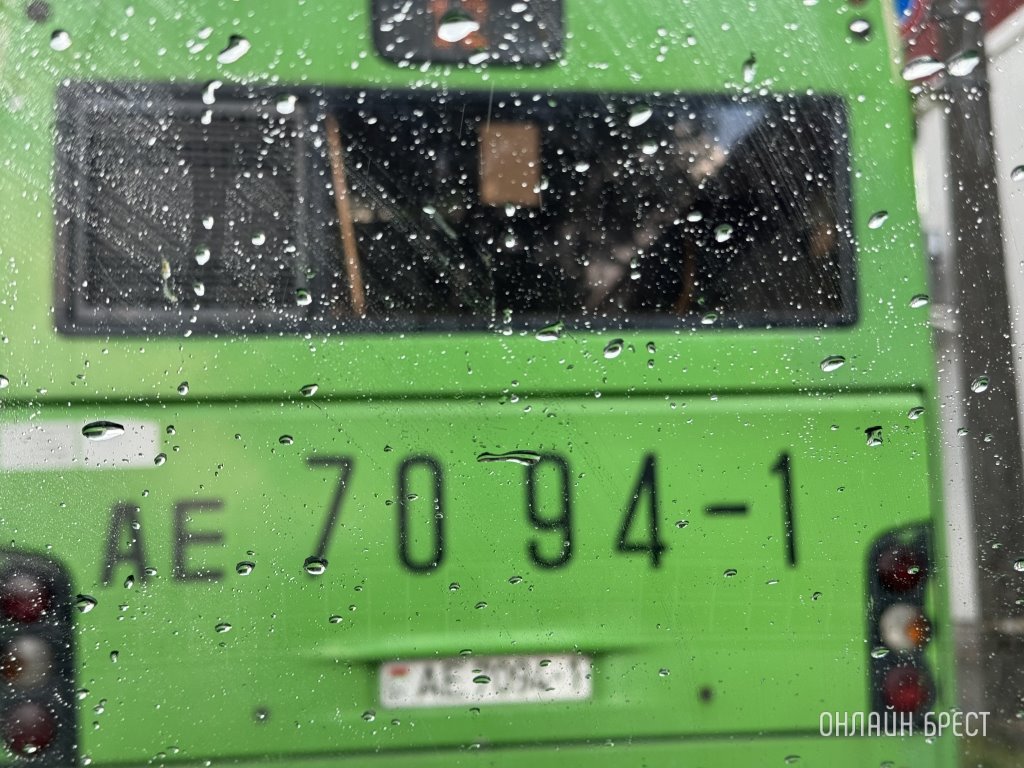 Фото носит иллюстративный характер