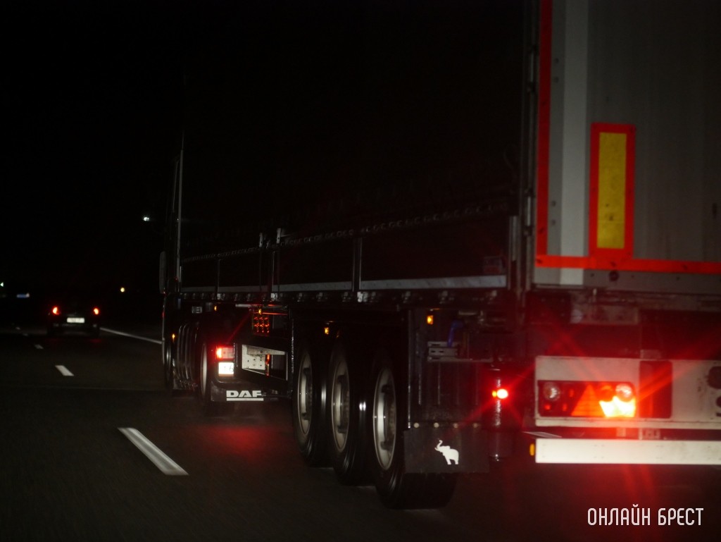 Фото носит иллюстративный характер