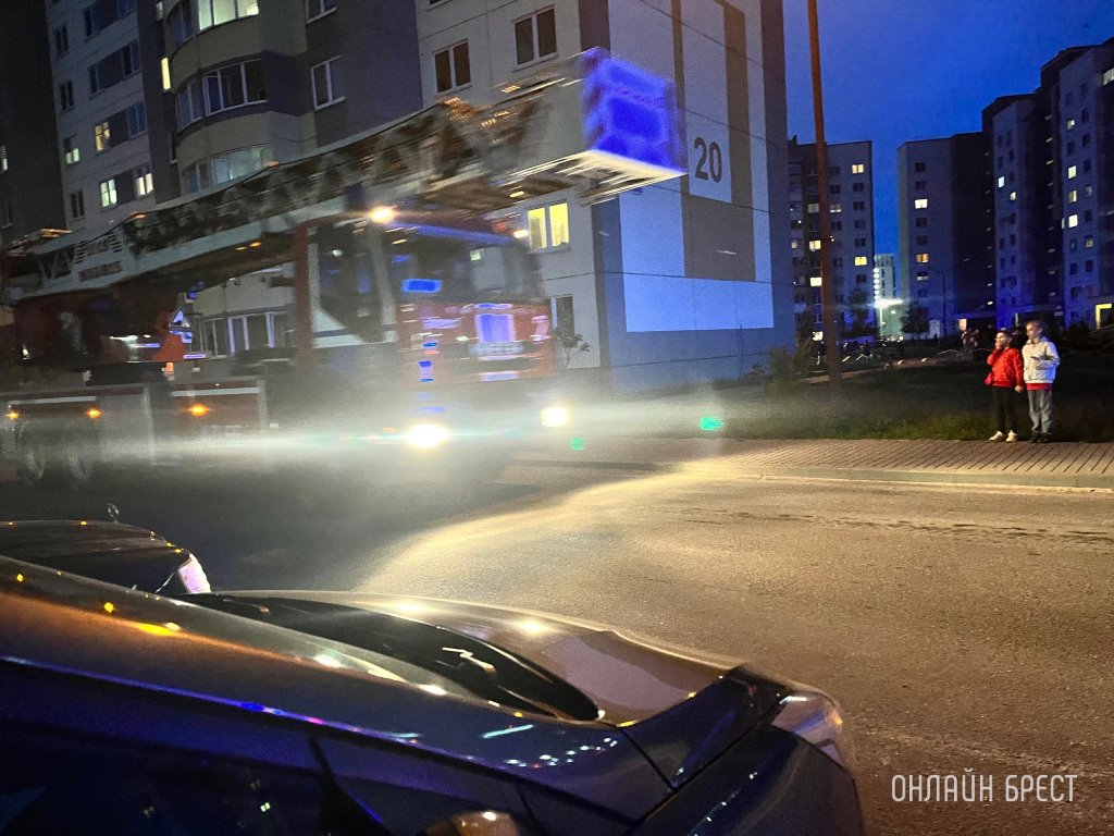 Фото носит иллюстративный характер