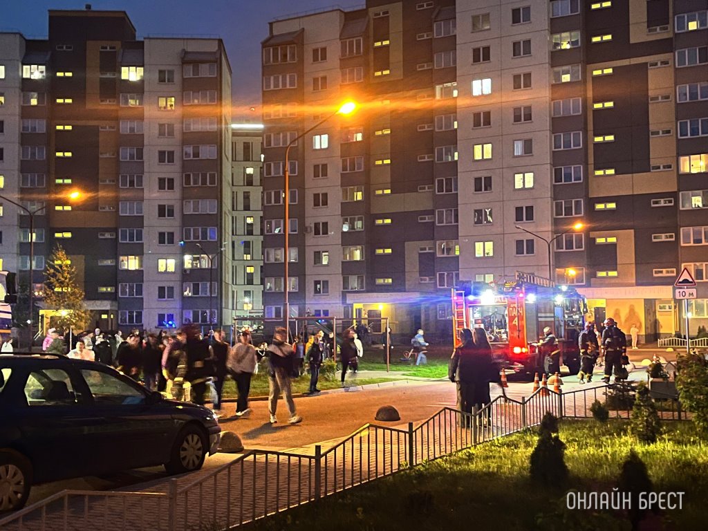 Почти половина пожаров в Бресте случилась из-за неосторожности с огнем