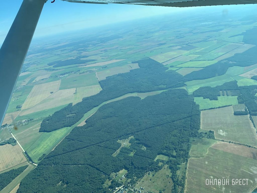 Фото носит иллюстративный характер