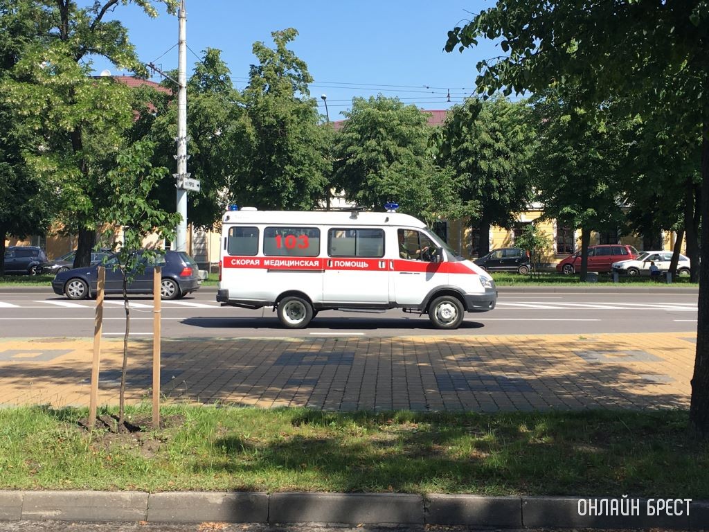 Фото носит иллюстративный характер