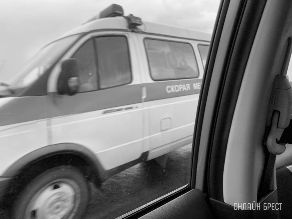 В Беларуси мужчина умер от укуса пчелы