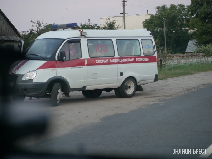 Фото носит иллюстративный характер