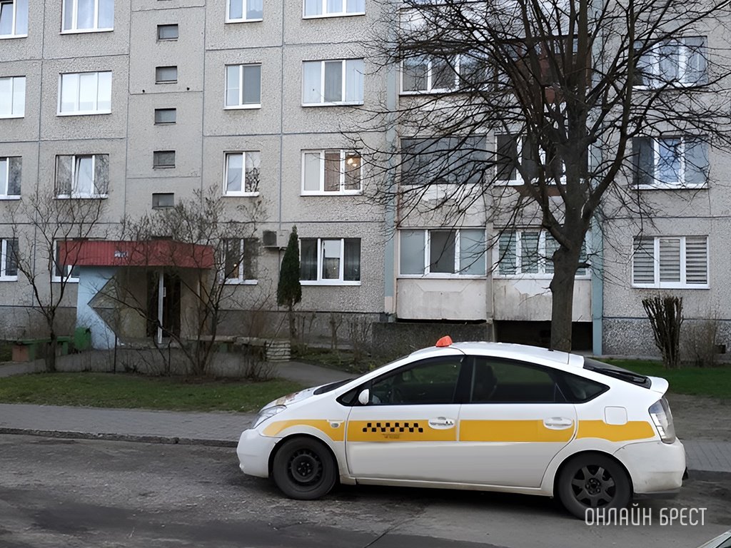 Фото носит иллюстративный характер