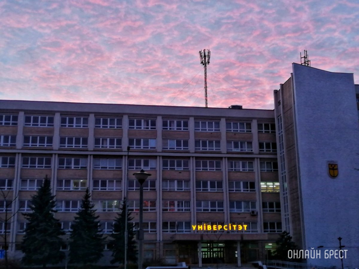 Ярмарку специальностей проведут в Брестском госуниверситете им.Пушкина 23 марта